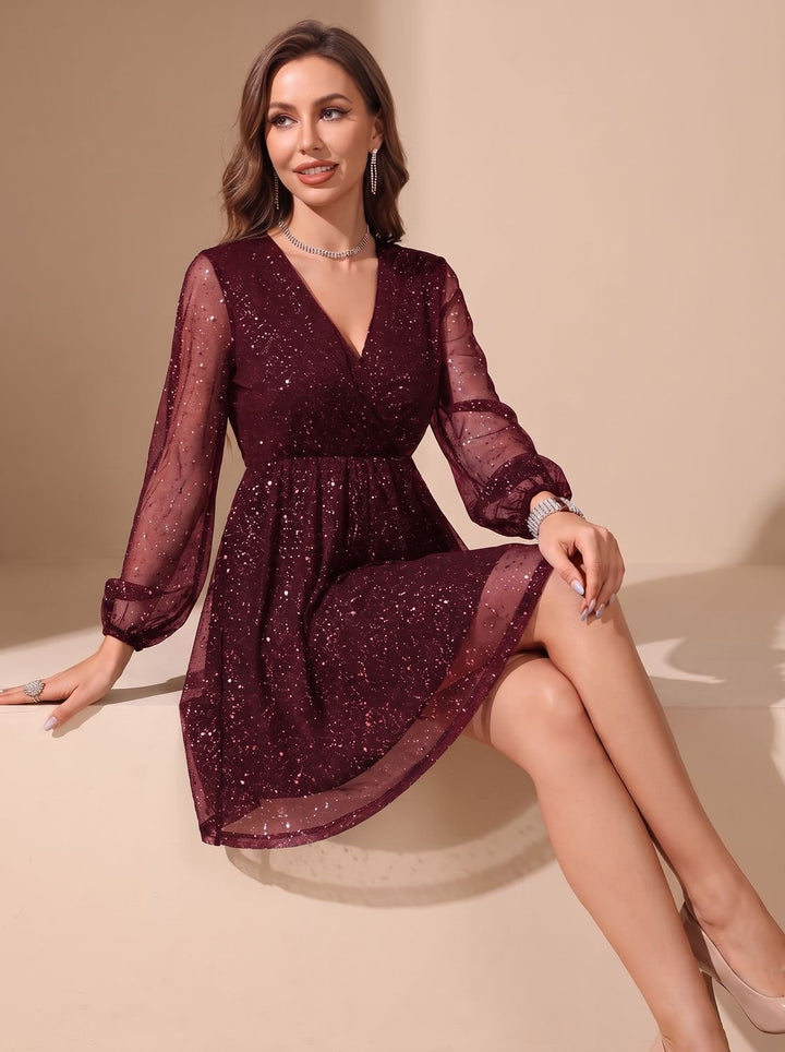 Women's Sheer Glitter Mini Cocktail Dress (5)
